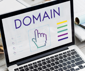 Website Domain Change